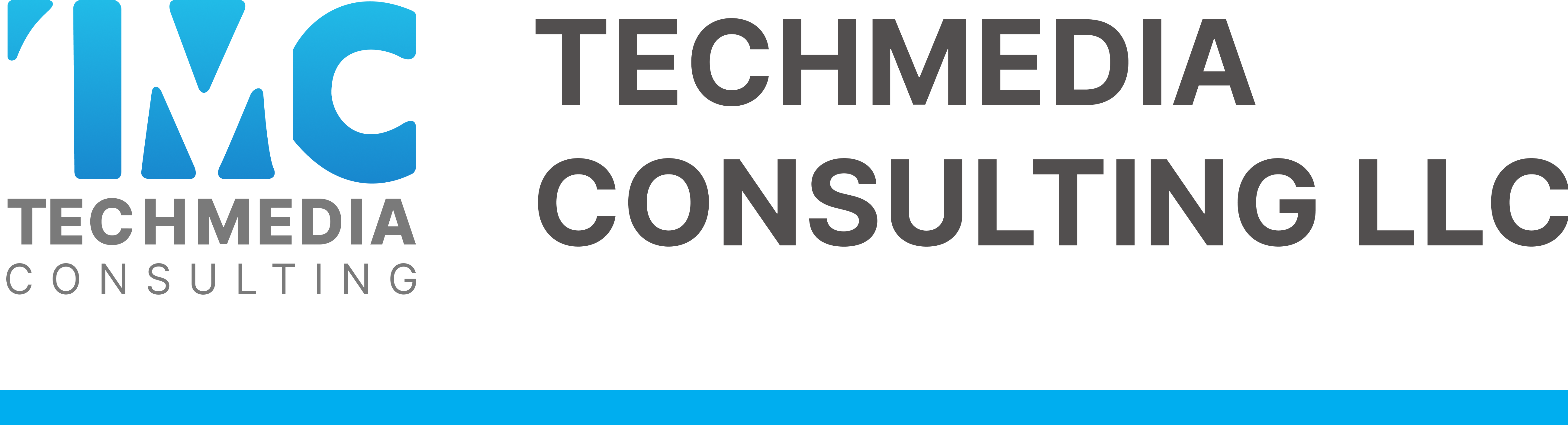 Tech Media Consulting